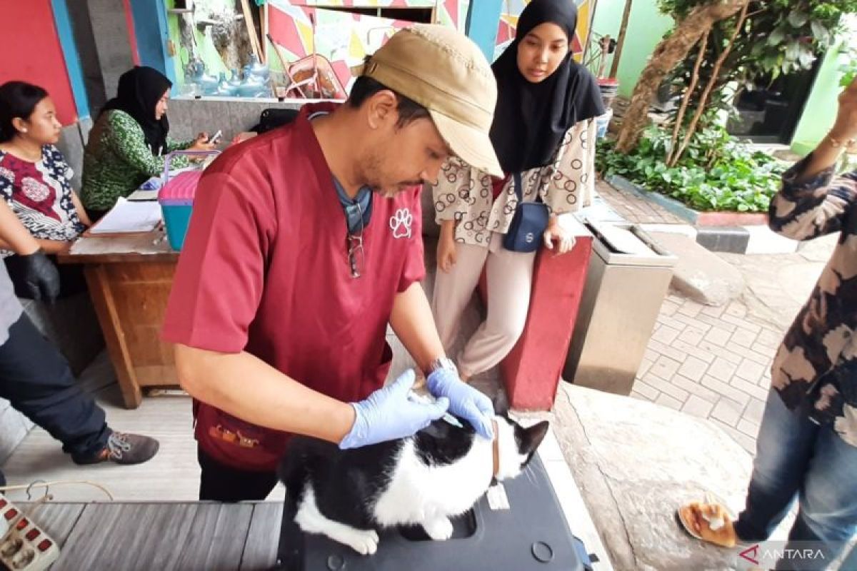 Hampir 60 ribu ekor hewan penular rabies di DKI divaksinasi sepanjang 2024