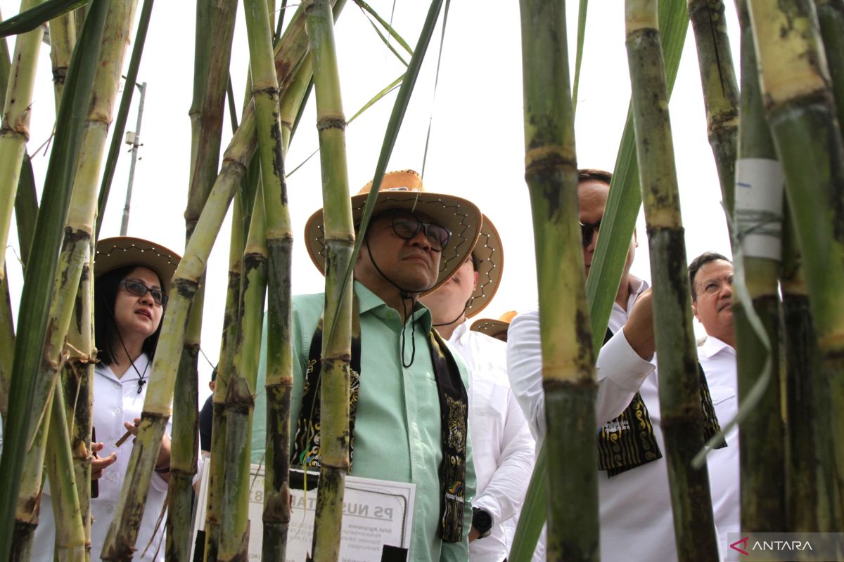 Menko PM optimistis petani mampu wujudkan swasembada pangan nasional