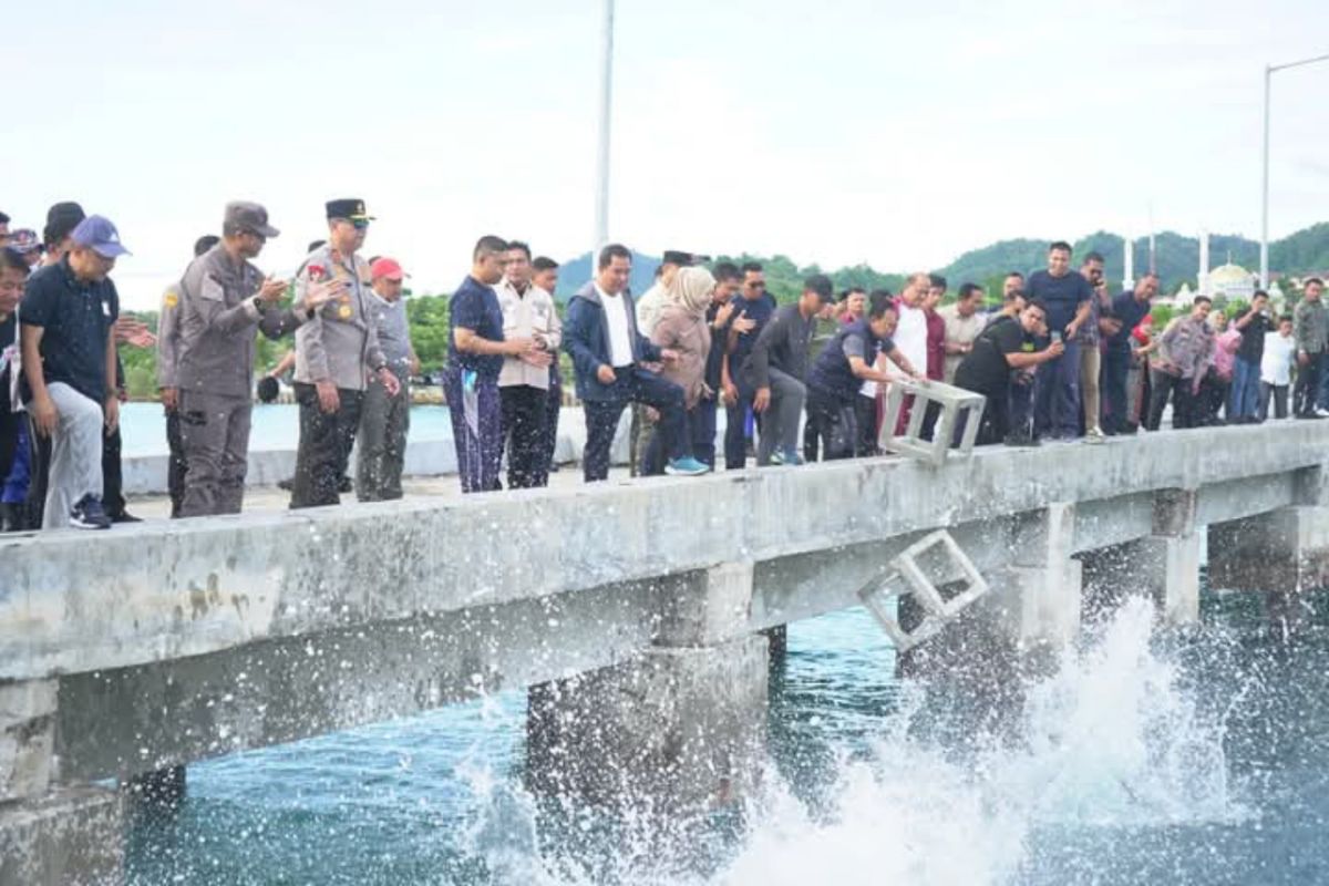 Pemprov Sulbar tebar 1.000 terumbu karang buatan di perairan Mamuju