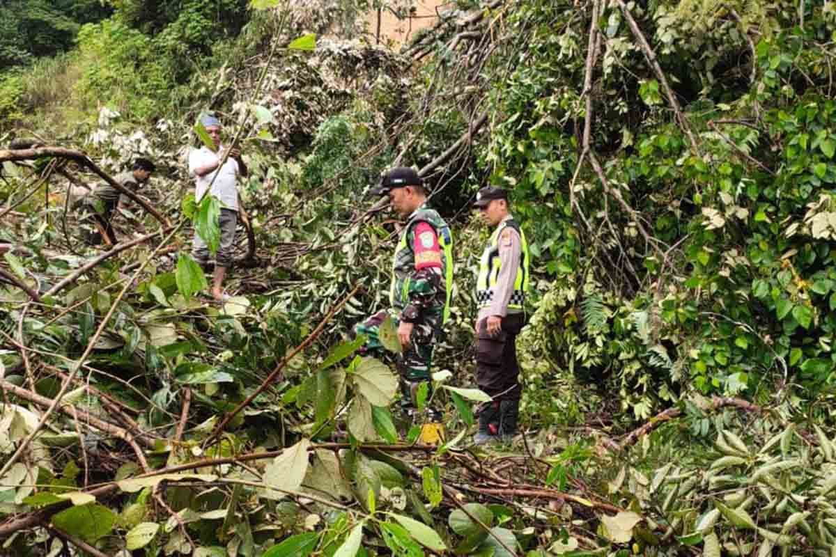 Sempat normal, lintas Aceh Timur-Gayo Lues kembali tertimbun longsor