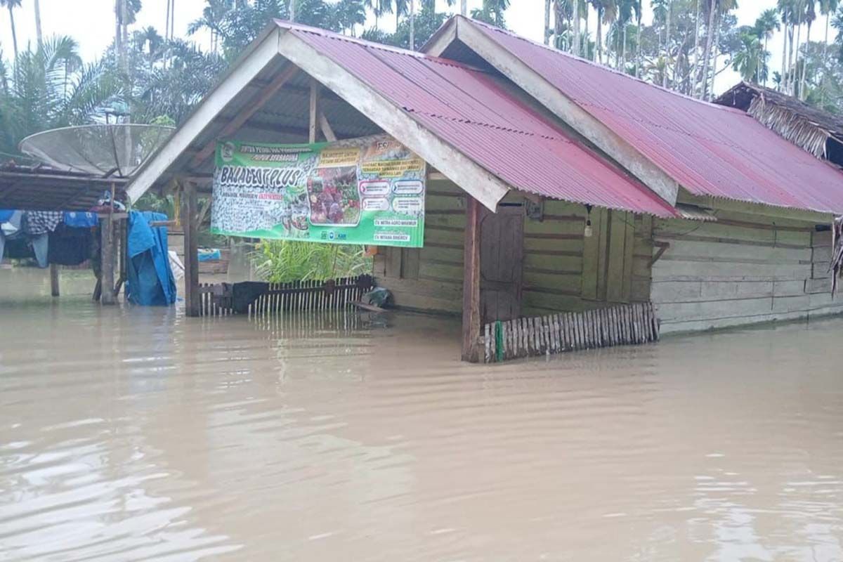 BPBD: Banjir di Aceh Timur berangsur surut