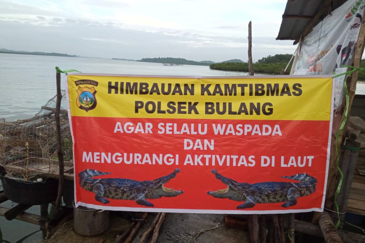 13 buaya penangkaran yang lepas berhasil dievakuasi