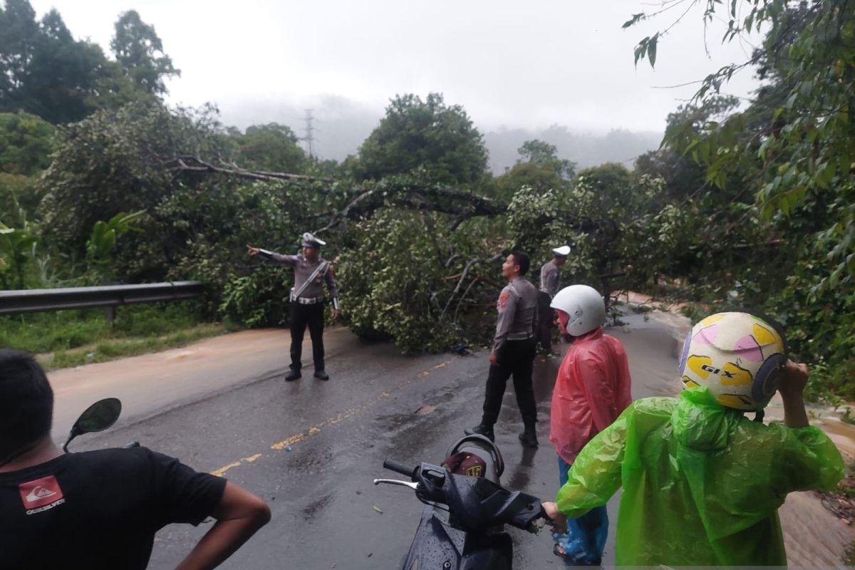 Akses jalan lintas Sumatera di Pesisir Selatan Sumbar putus