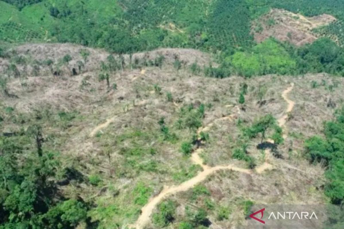 KPH Mukomuko-polisi cek hutan negara yang rusak akibat perambahan