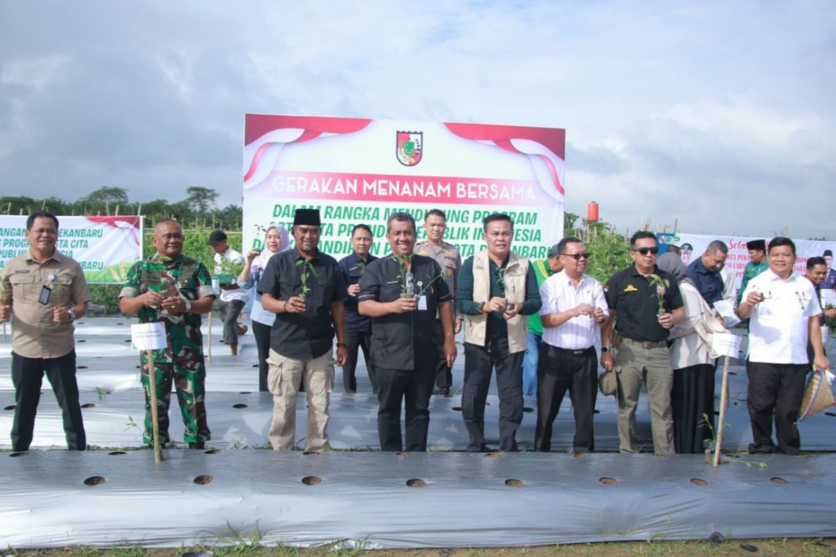 Pekanbaru tanam sayuran dukung ketahanan pangan