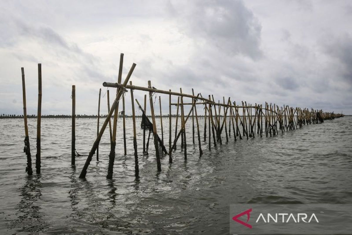 KLH verifikasi keberadaan dokumen lingkungan pagar laut di Bekasi