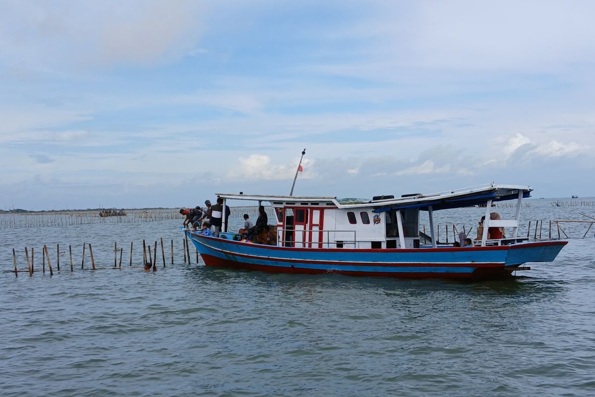 600 personel TNI AL terlibat dalam pembongkaran pagar laut