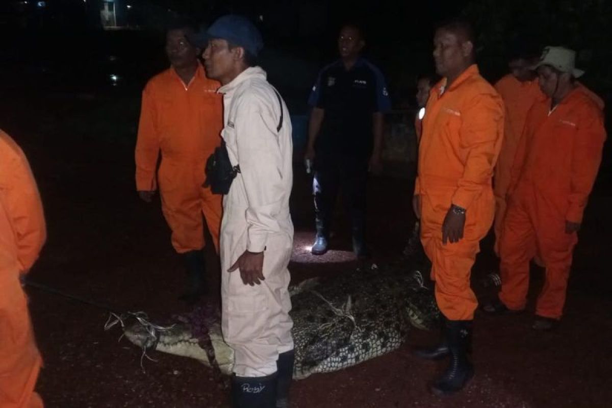 Kapolsek Bulang: Balum ada gangguan akibat buaya lepas