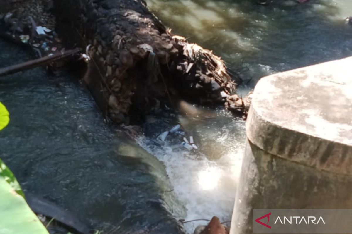 Petani Mukomuko tunda tanam padi karena irigasi masih jebol