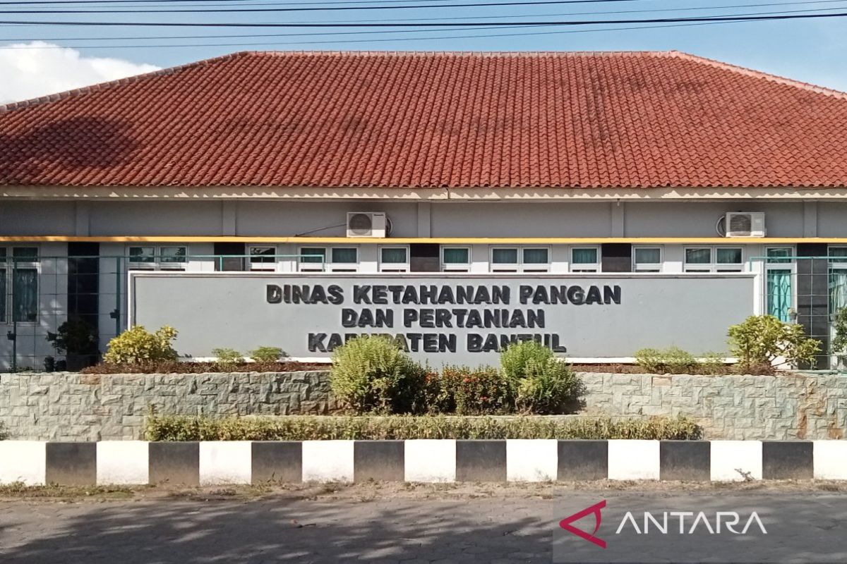 DKPP Bantul peroleh alokasi pupuk bersubsidi 17.562 ton pada tahun 2025