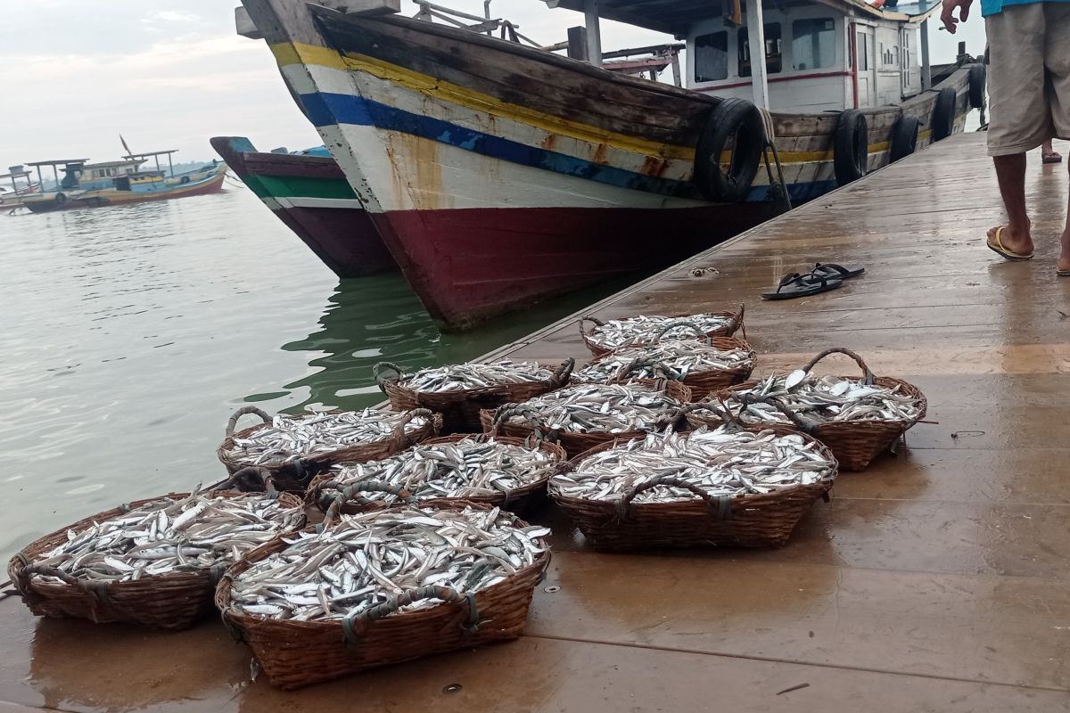 Tangkapan ikan di Lebak 2024 capai 6,8 ton