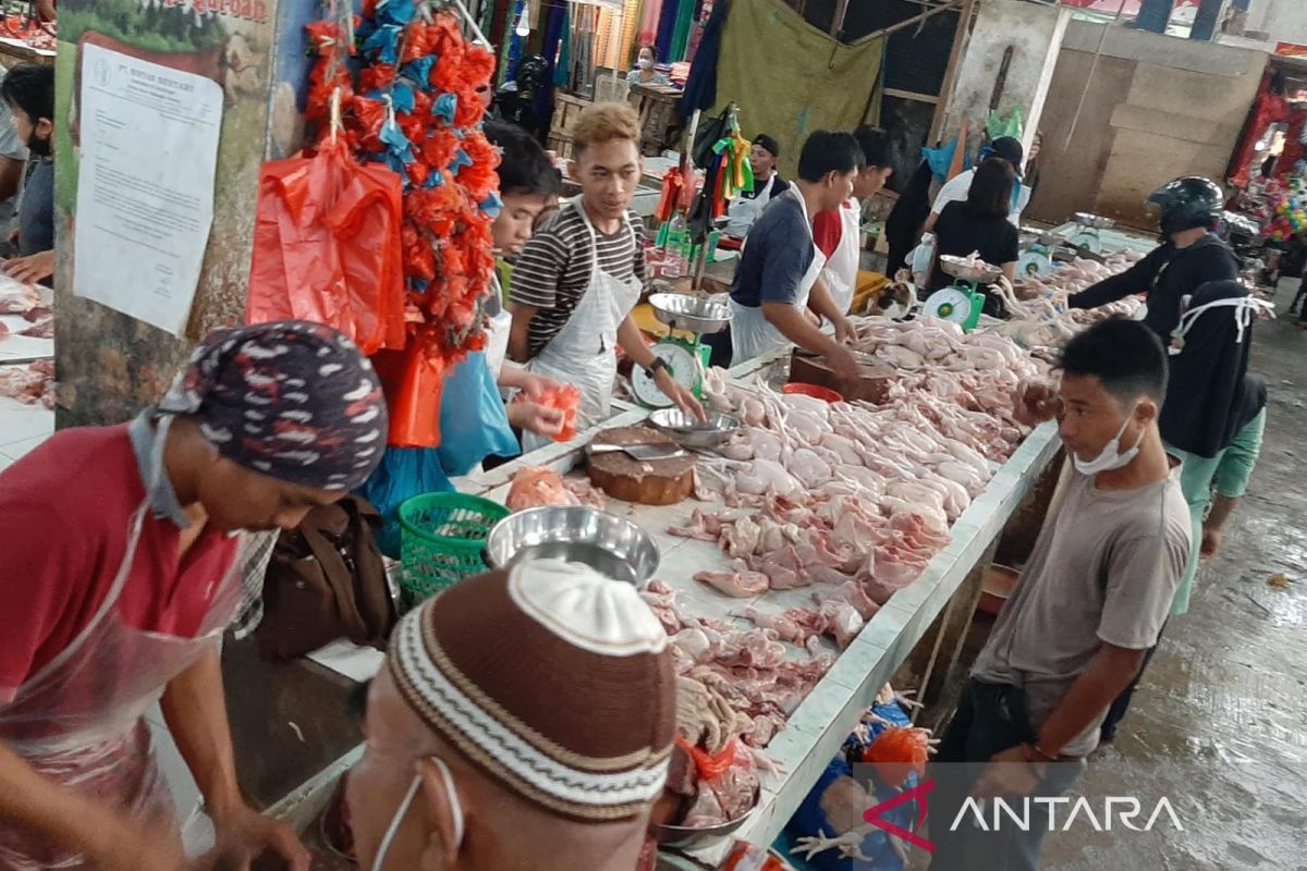 Harga daging ayam di Tanjungpinang naik menjelang Imlek