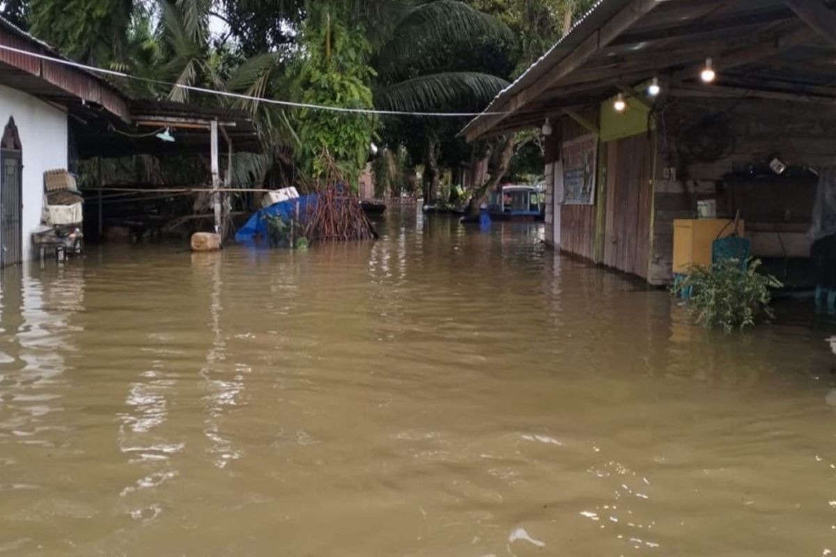 Sebanyak 319 rumah warga di Desa Buluh Cina terendam