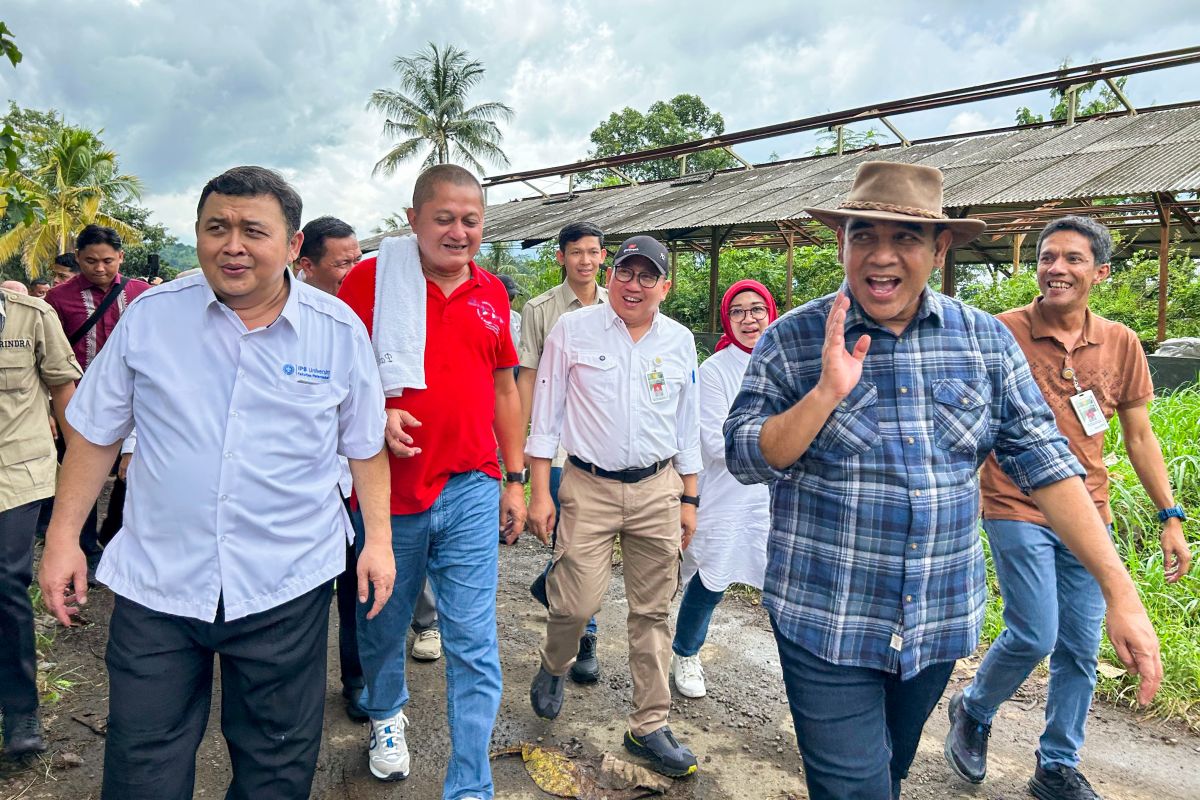 MPR apresiasi langkah cepat Pemerintah tangani kasus PMK