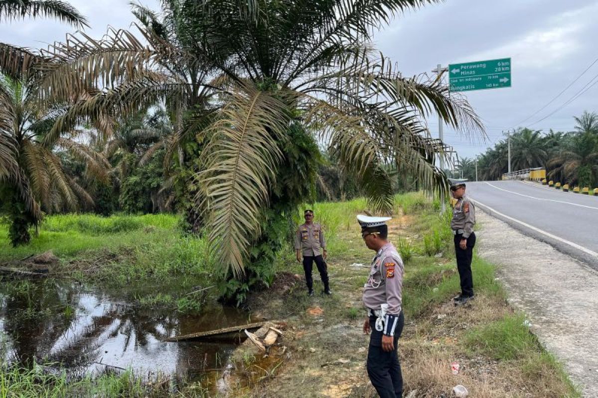 Waspadai banjir di perkebunan sawit di Siak