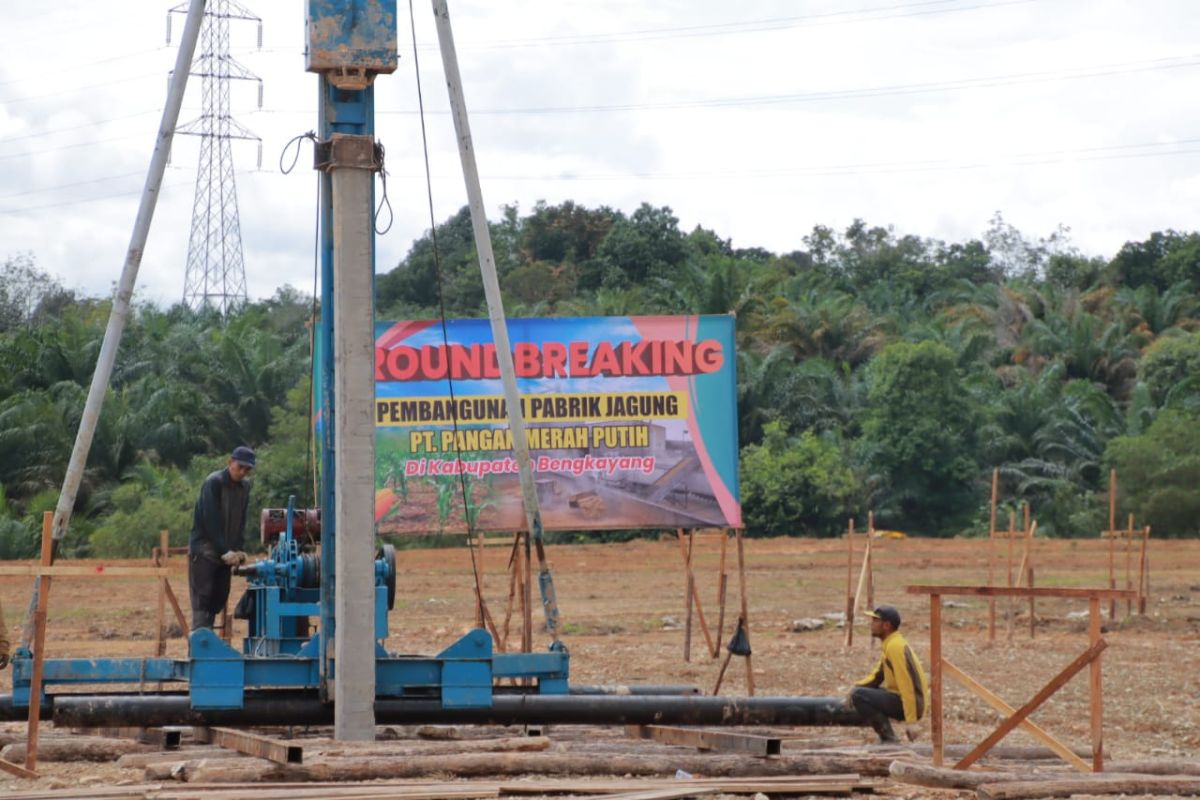 Pabrik jagung di Kalbar memudahkan petani jual hasil panen 