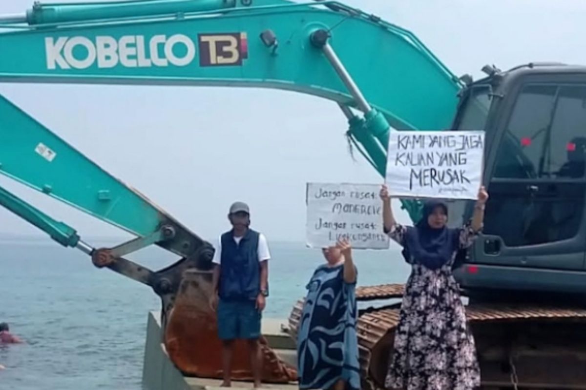 Pembangunan dermaga yang rusak mangrove diminta dihentikan