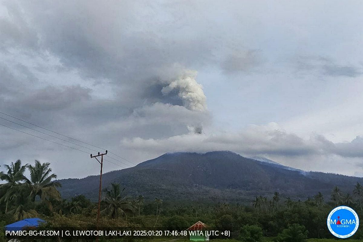 Gunung Lewotobi Laki-laki kembali erupsi setinggi 1.300 meter