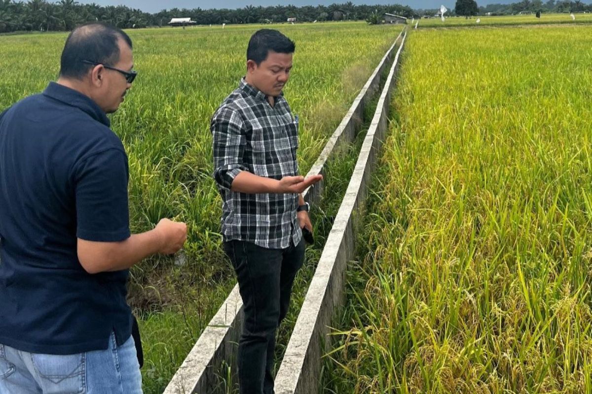 Bulog Riau siap serap beras petani sesuai HPP terbaru