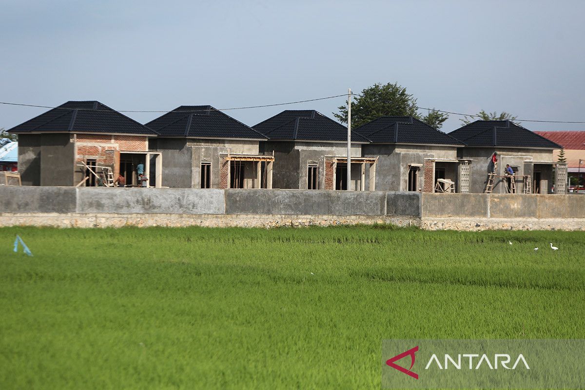 FOTO - Larangan alih fungsi lahan sawah