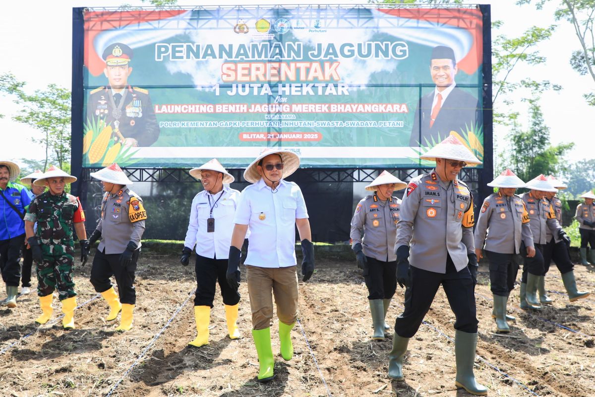 Pemprov Jatim apresiasi program tanam jagung oleh Polri 