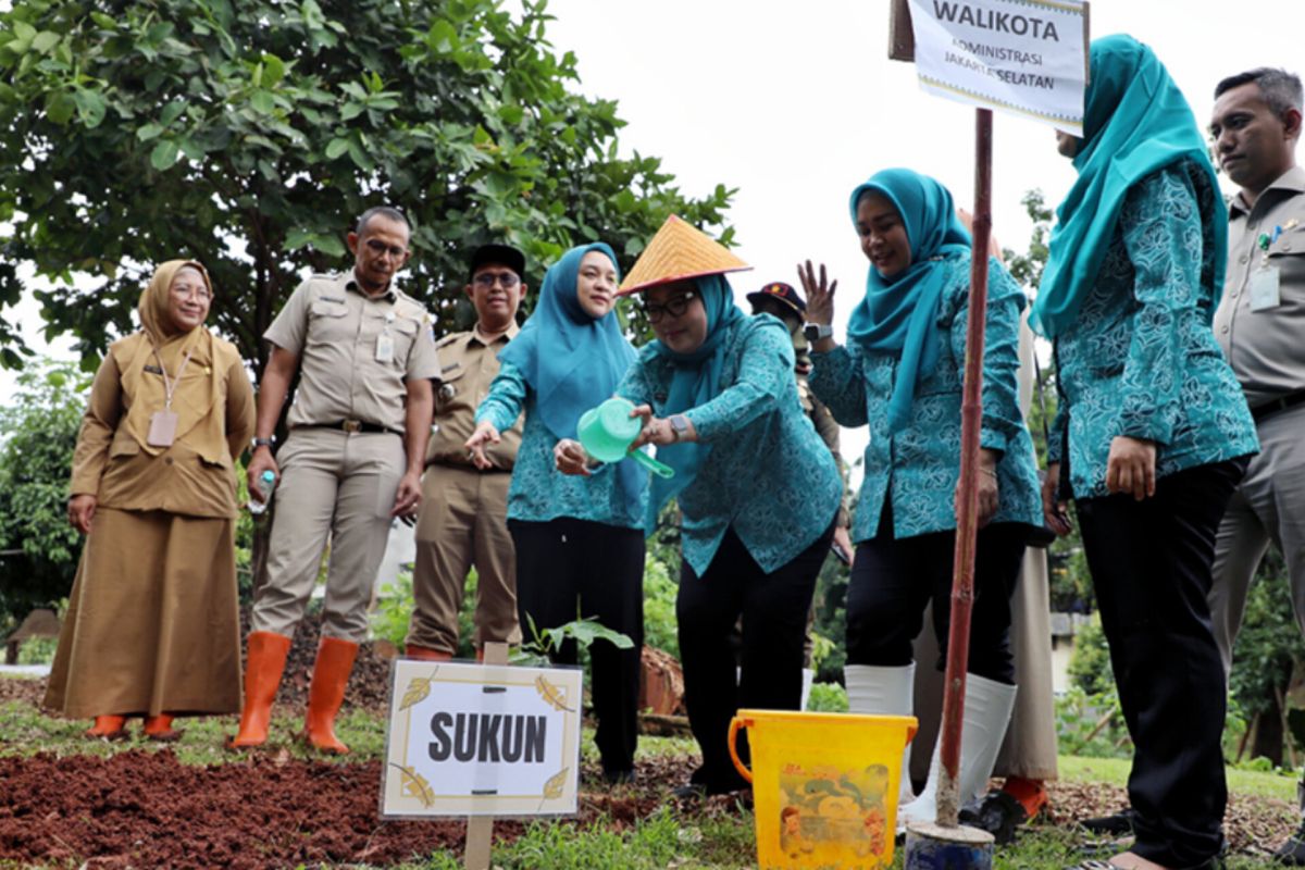 Jaksel gencarkan pertanian perkotaan