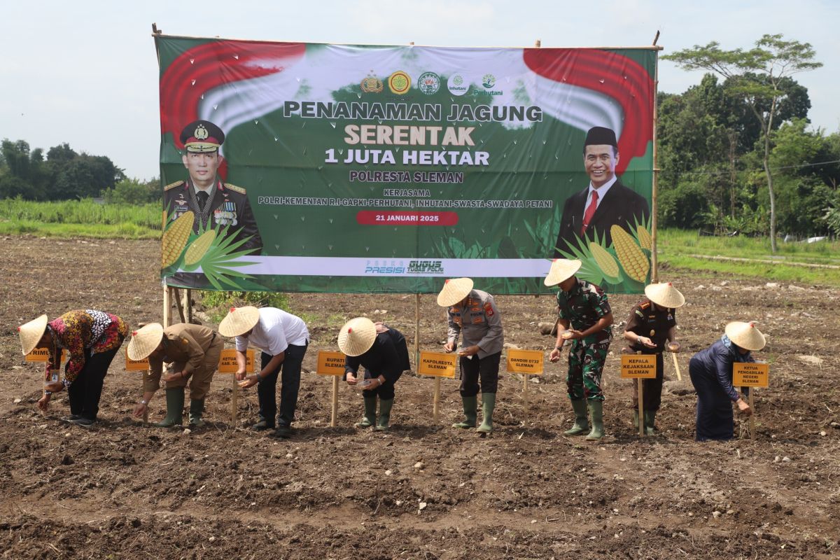 Dukung swasembada pangan nasional, Forkopimda Sleman tanam jagung  di lahan tidur