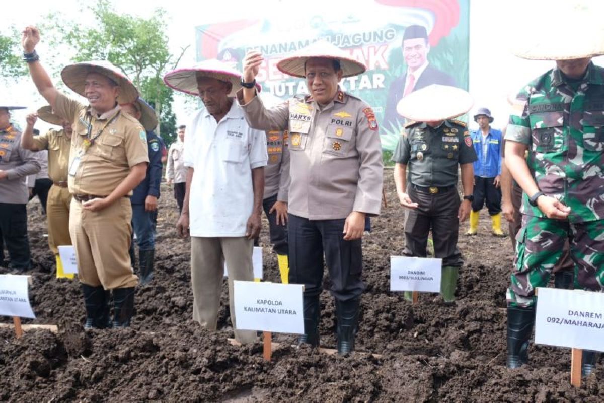 Polda Kaltara Menanam Jagung Untuk Mendukung Ketahanan Pangan