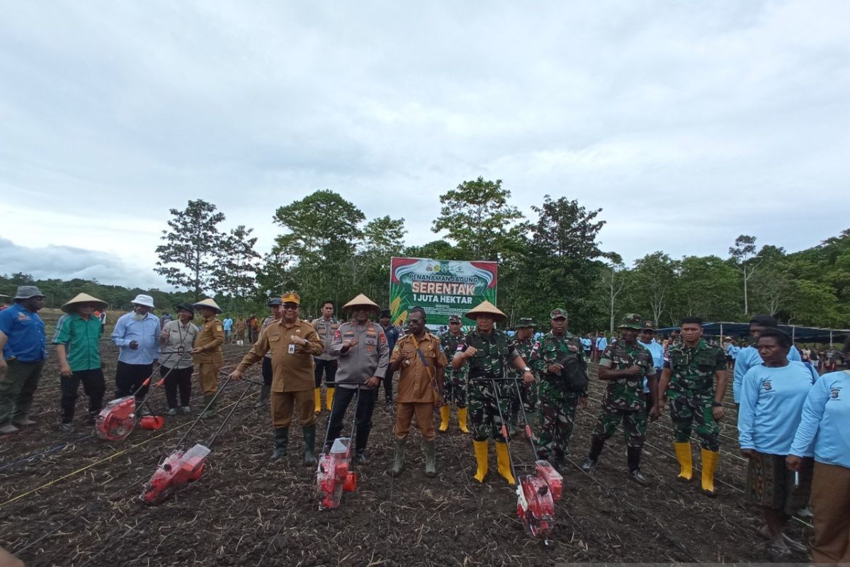 Polda Papua-Pemkab Jayapura tanam jagung serentak dukung Astacita