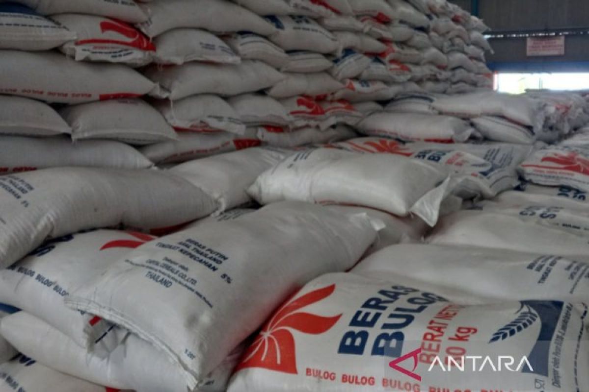 Bulog catat ketersediaan beras di Bengkulu capai 1.700 ton