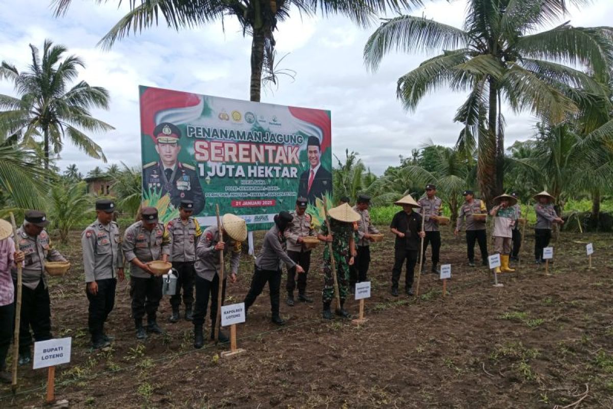 Gerakan penanaman satu juta jagung di Lombok Tengah dimulai