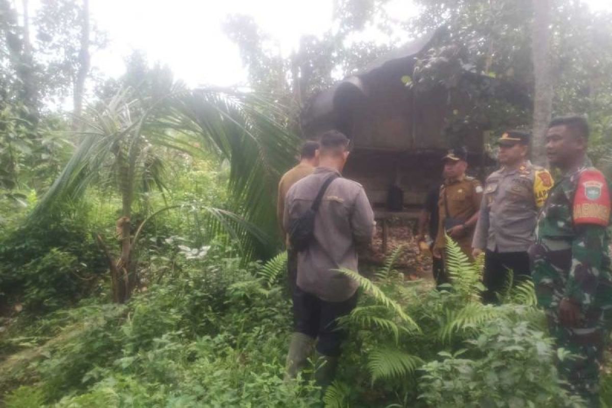 Gajah Sumatera obrak-abrik perkebunan warga di Aceh Timur