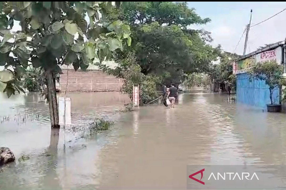 Ratusan hektare sawah di Sragen tergenang banjir