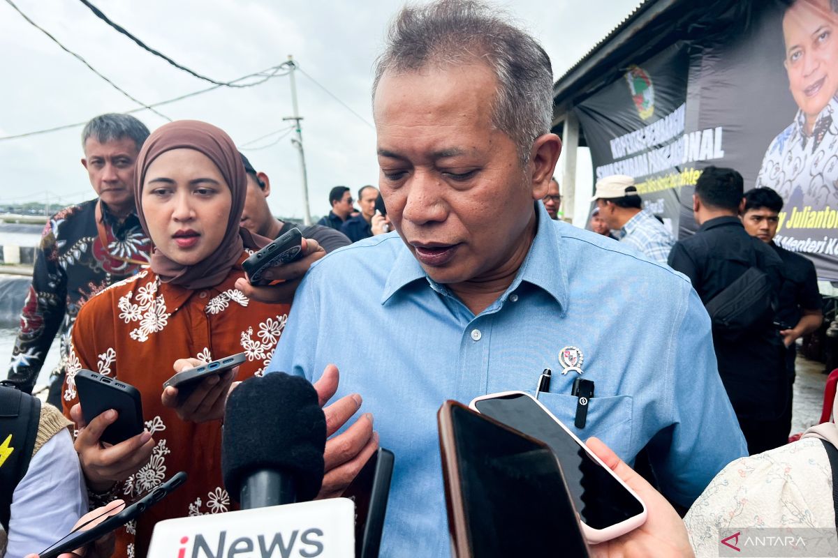 Kemenkop pacu produksi koperasi ayam petelur guna dukung MBG