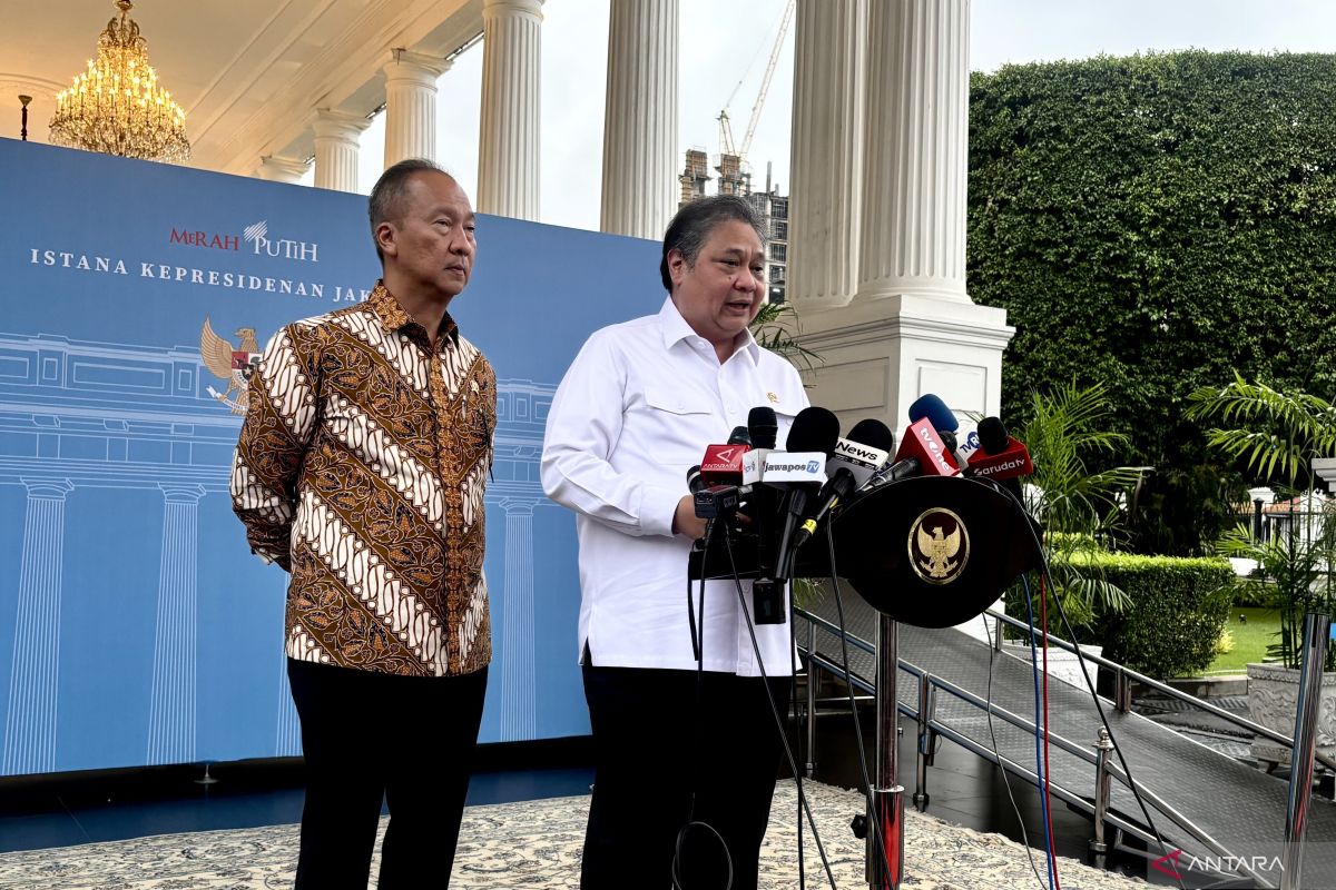 Airlangga sebut pemerintah sempurnakan regulasi untuk lanjutkan HGBT