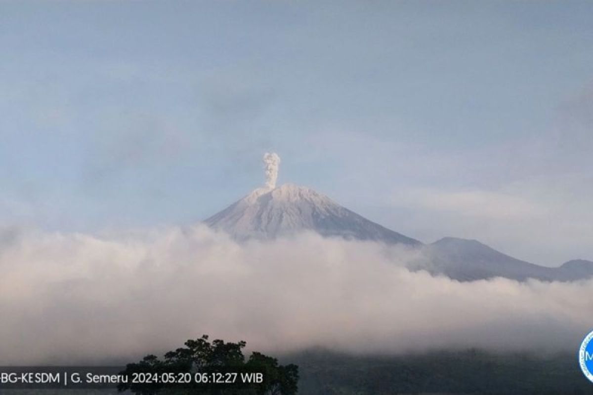 Gunung Semeru kembali erupsi Rabu pagi dengan letusan setinggi 800 meter