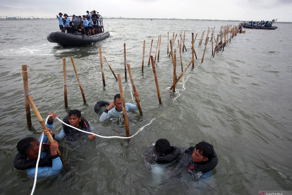 Menteri KP: Pemilik pagar laut didenda Rp18 juta/kilometer