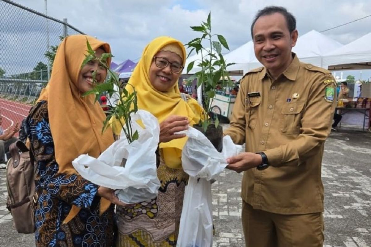 DKP Kota Tangerang bagikan bibit cabai gratis pada kegiatan pangan murah