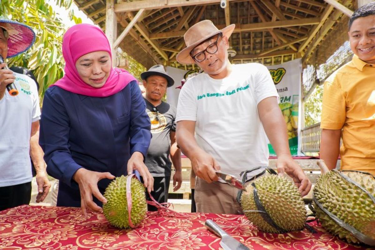 Gubernur Khofifah siapkan strategi jadikan durian unggulan ekspor Jatim