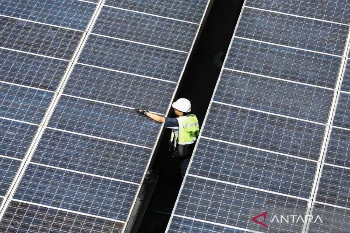 Ekonom: Indonesia perlu cari alternatif pendanaan untuk transisi energi