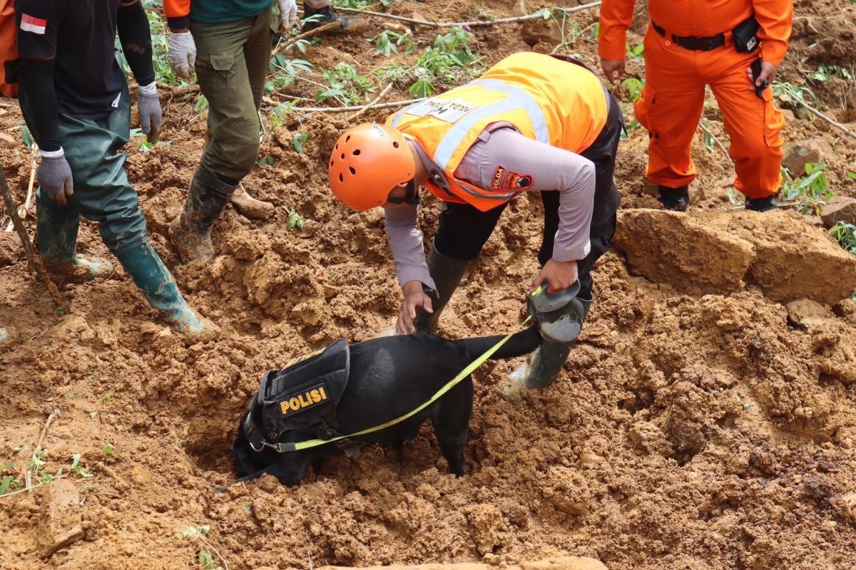 Tim K-9 Polda Jateng temukan bayi tertimbun longsor di Pekalongan