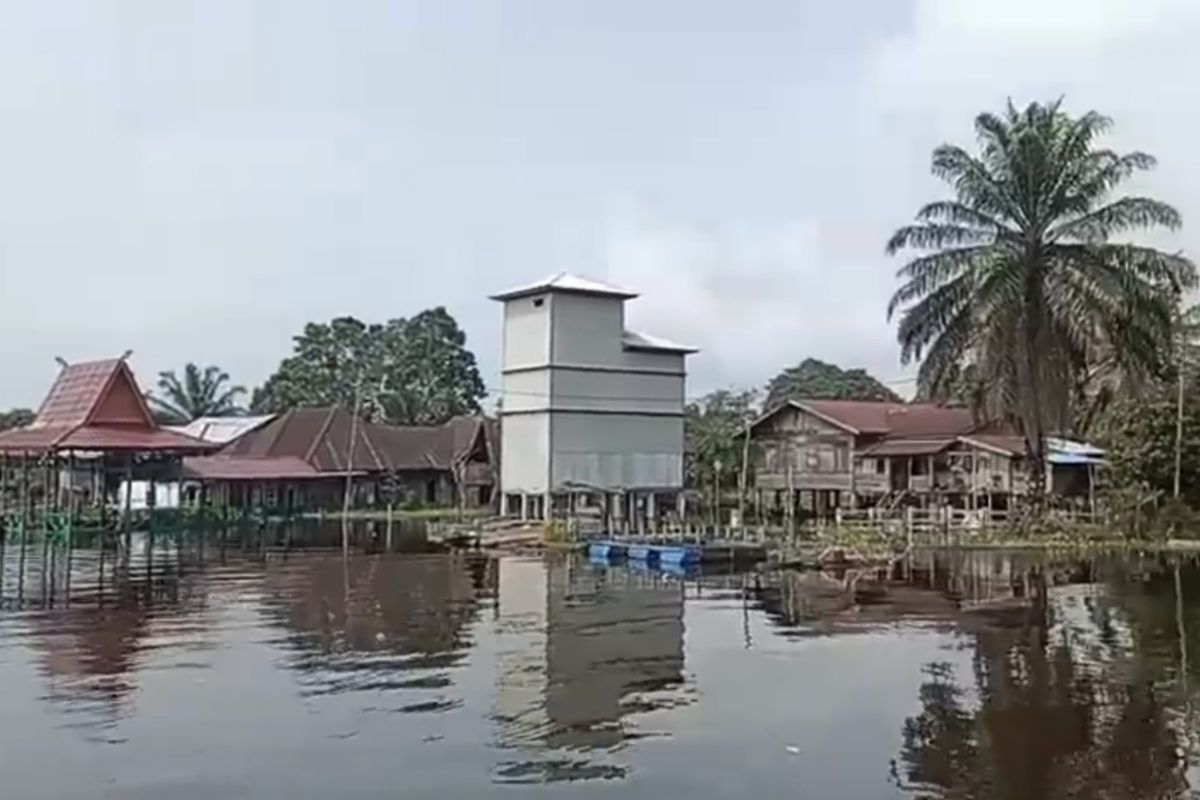 Enam kecamatan di Pelalawan terendam banjir