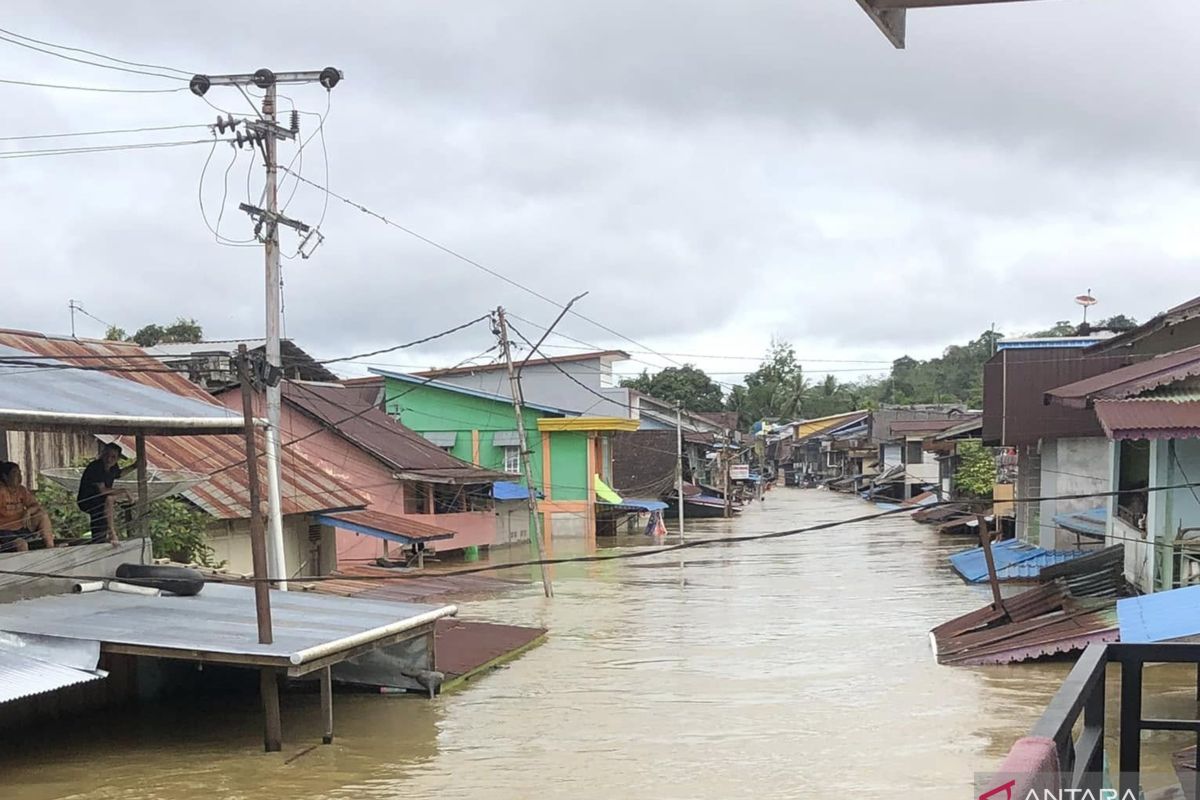 Sebanyak 33.485 jiwa warga di Kalbar terdampak banjir