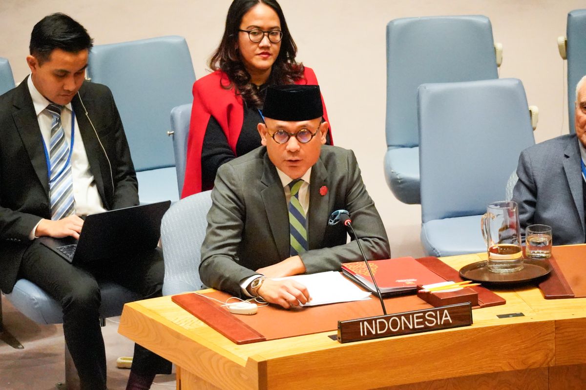 Indonesia vows ongoing support for Africa's counterterrorism efforts