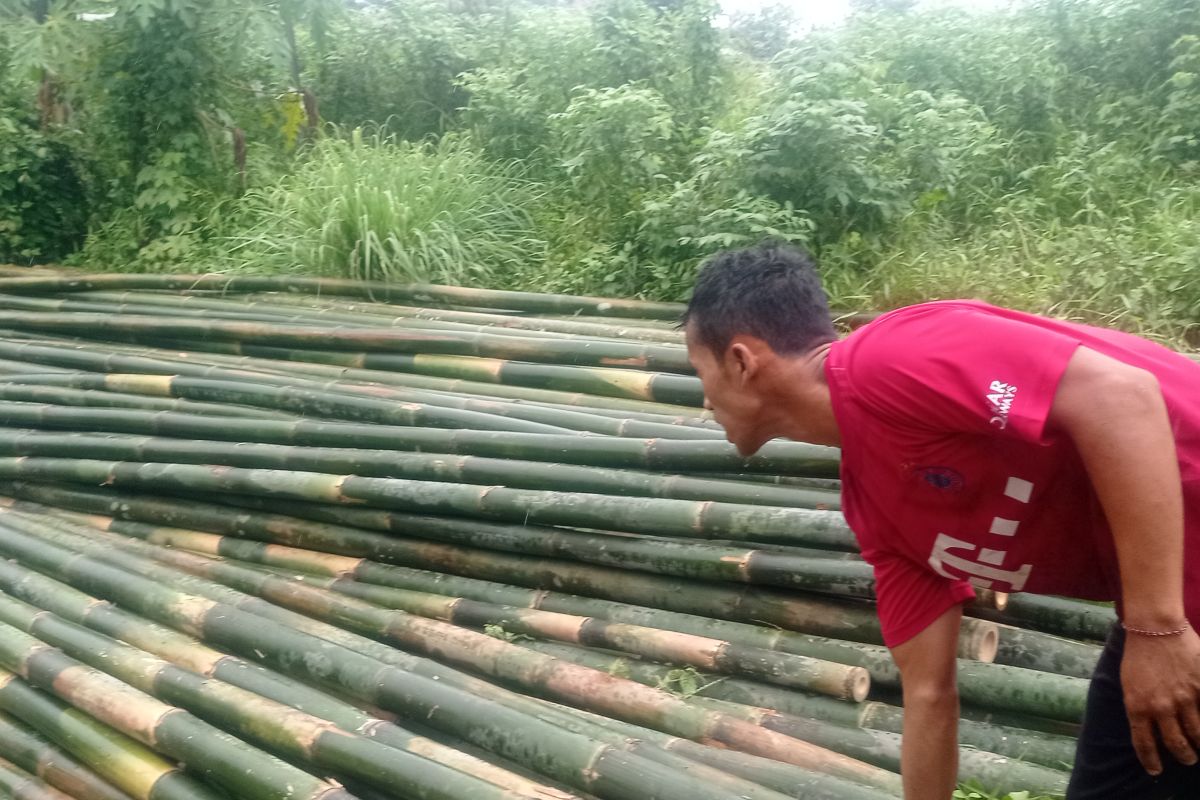 Komoditas bambu di Lebak jadi andalan ekonomi warga