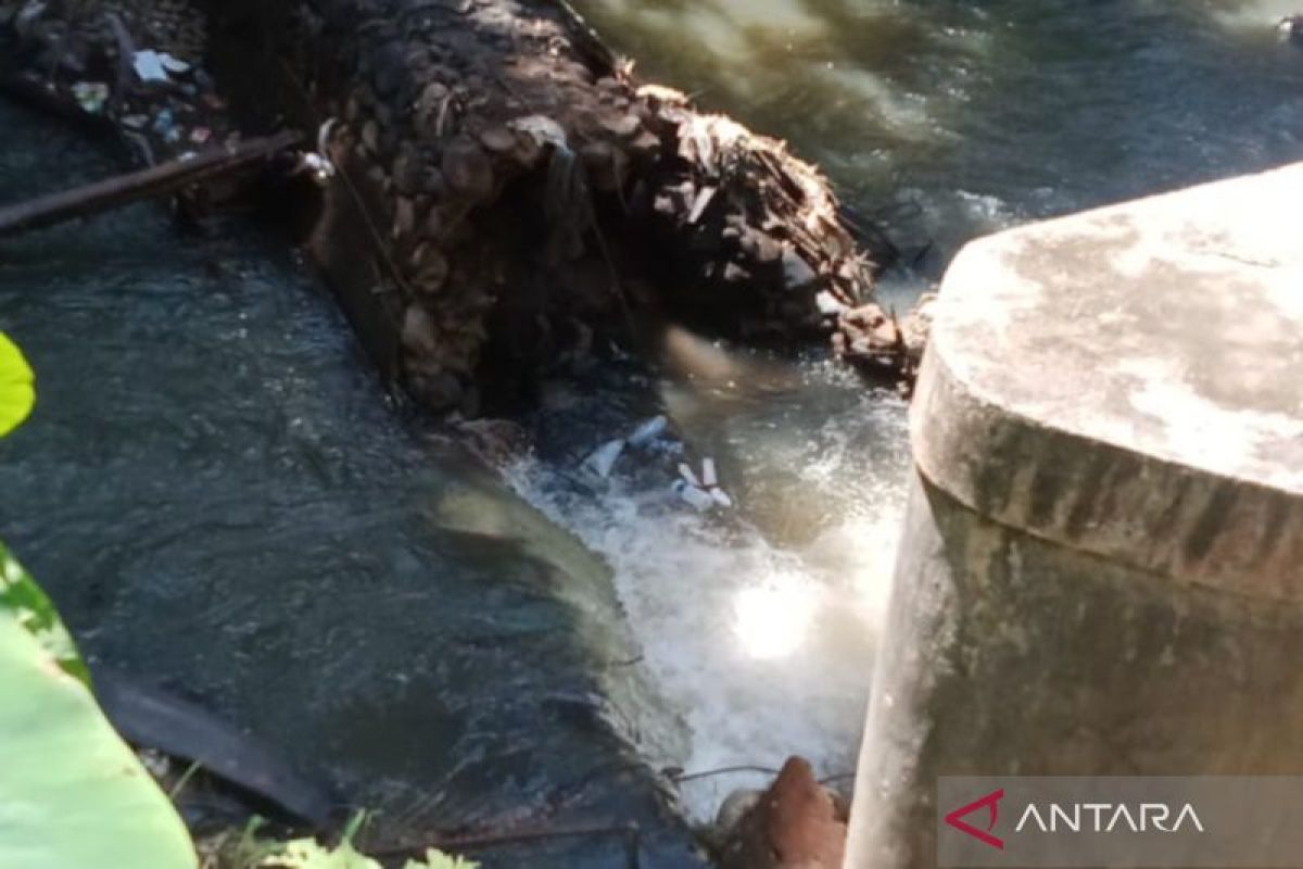 Petani Mukomuko upayakan perbaikan irigasi jebol akibat banjir