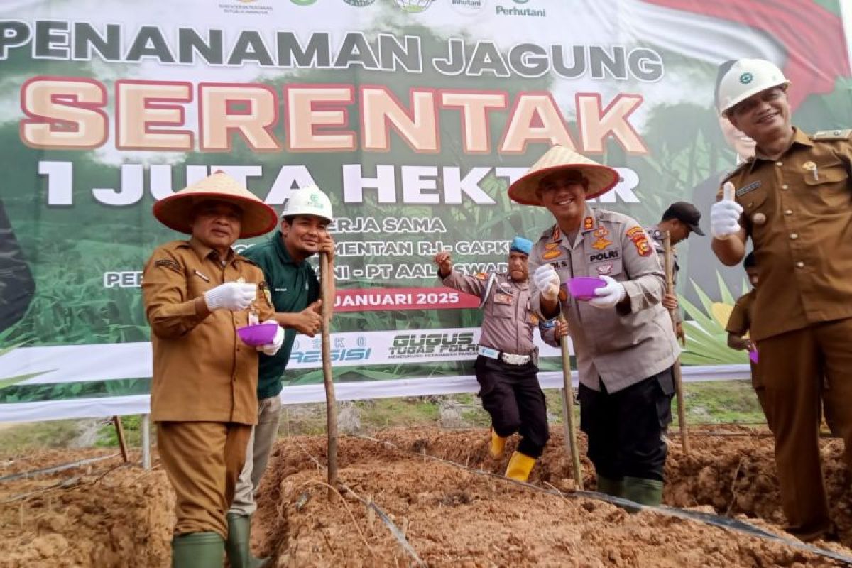 Jaga ketahanan pangan, AAL bersama Polres Rohul tamam jagung bersama