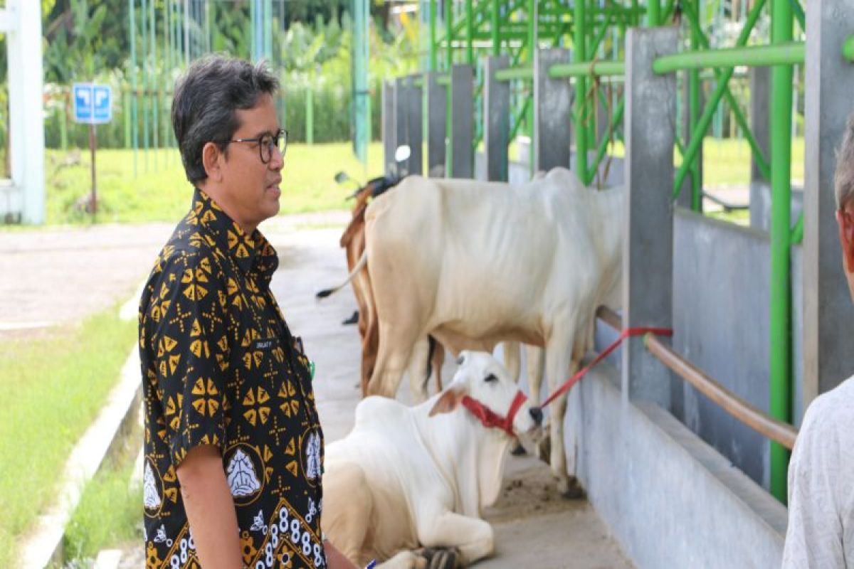 Cegah penyebaran PMK, Pasar Hewan Pengasih Kulon Progo ditutup