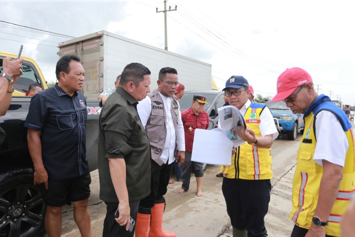 Kabupaten Pelalawan butuh jalan layang solusi atasi banjir