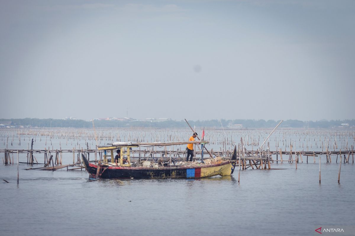 Fakta pagar bambu di laut Tangerang: Ahmed Zaki bantah kaitan dengan proyek PIK 2